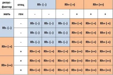 Are grupa de sânge a părinților de a concepe un copil influente - totul despre problema de compatibilitate în timpul sarcinii (părinții) Are grupa de sânge a părinților de a concepe un copil afectează - toate problemele de compatibilitate în timpul sarcinii