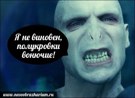Dau vina Lord Voldemort!