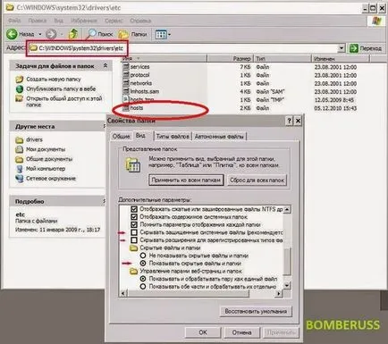 Ai verificat fișierul de gazde pentru intrările suspecte