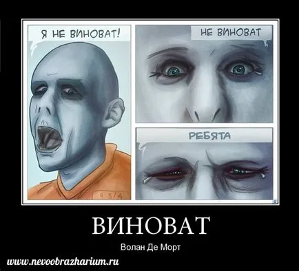 Dau vina Lord Voldemort!