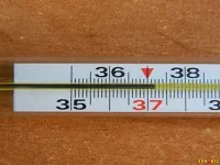як лікувати рак шийки матки 3 ступеня