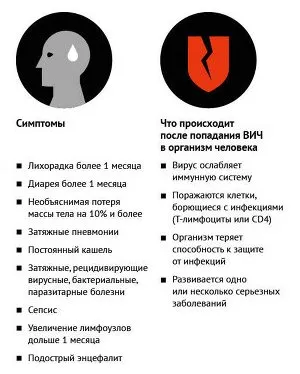 спід вич шляху передачі симптоми діагностика лікування профілактика вірус імунна система стадії