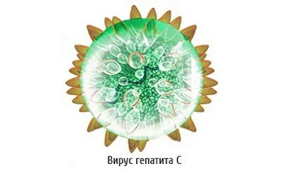 як лікувати некроз печінки