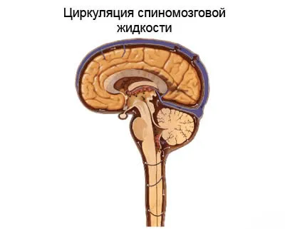 як лікувати тиск в голові
