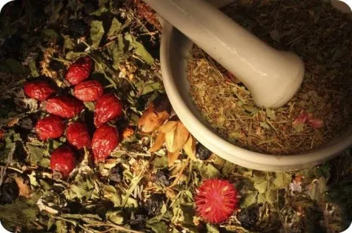 остеопороз: лікування народними засобами