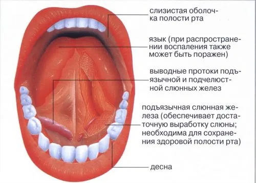 лікувати запалення ясен домашніх умовах