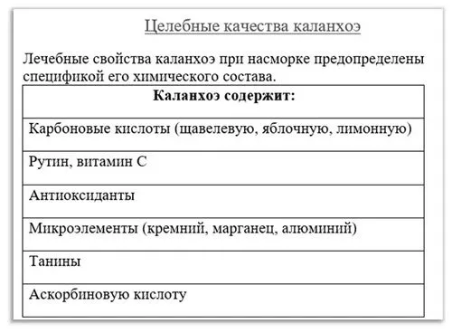 як лікувати нежить каланхое