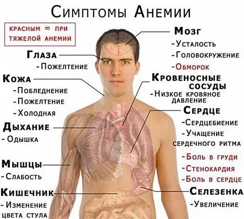 відповіді