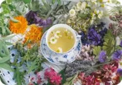 жовч в шлунку лікування народними засобами