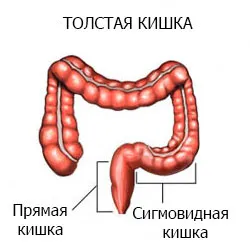 як лікувати хвороби кишечника