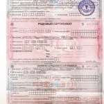 що потрібно на пологи дитині