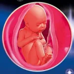 34 тиждень вагітності який це місяць