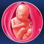 34 тиждень вагітності який це місяць