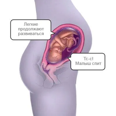 календар вагітності
