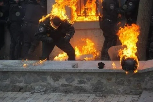 беркут