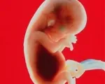 9 тиждень вагітності самопочуття