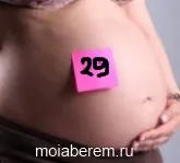 29 тиждень вагітності