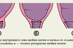 перший по підлозі