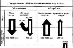 відійшли води а сутичок немає