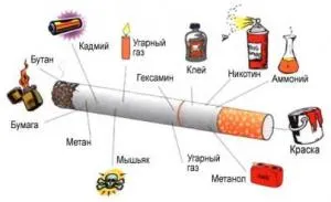 розвиток дитини