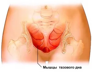 блог молодої мами