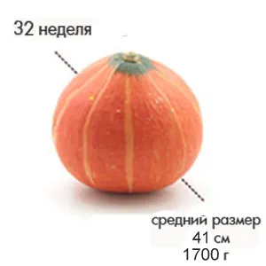 32 тиждень вагітності фото