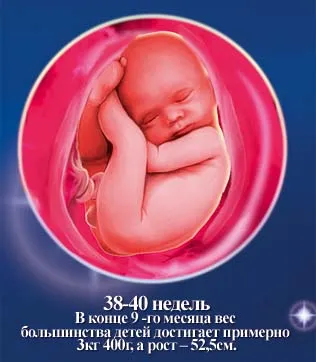 1 5 тиждень вагітності