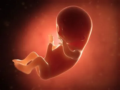 місяць вагітність фото живіт