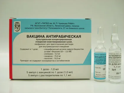 чому не можна пити алкоголь під час місячних