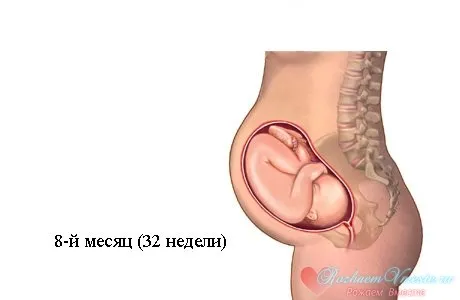 вагітність по місяцях