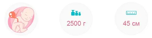 висота матки в 35 тижнів