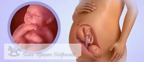 39 тиждень вагітності другі пологи