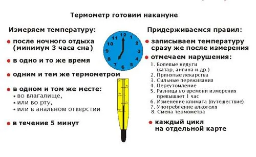 базальна температура при вагітності до затримки
