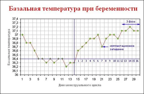базальна температура при вагітності