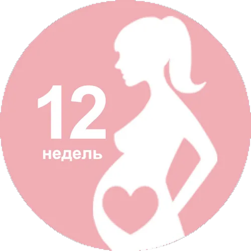 вагітність узі 12 дванадцята тиждень аналізи Київ