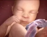 вагітність 26 тижнів харчування