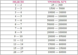 термін вагітності