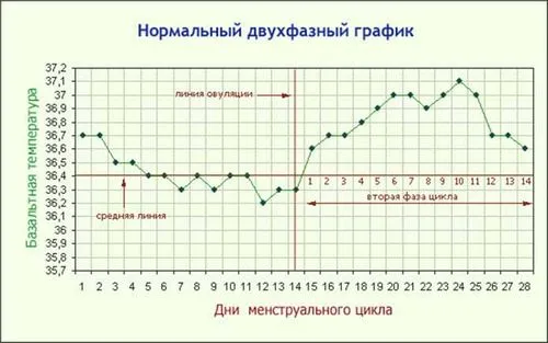 графік базальної температури при вагітності приклад