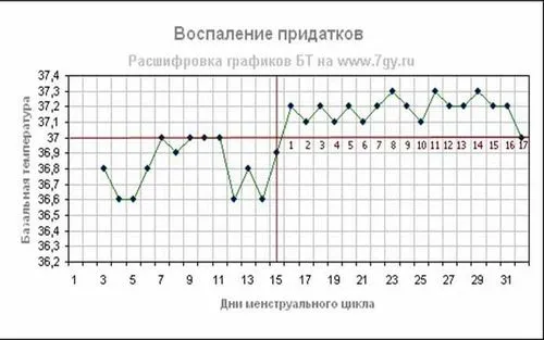 графік базальної температури при вагітності приклад