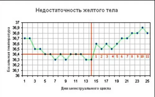 графік базальної температури при вагітності приклад