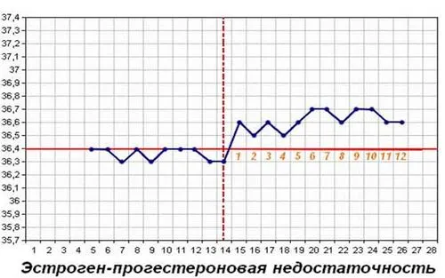 графік базальної температури при вагітності приклад