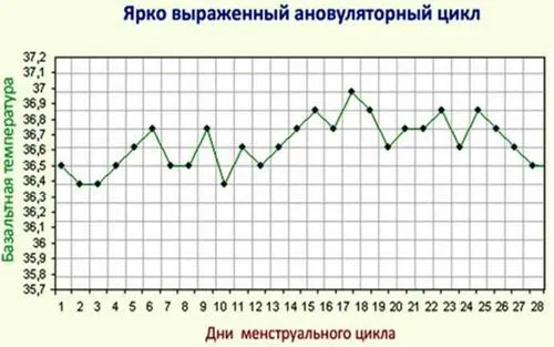 графік базальної температури при вагітності приклад