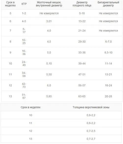 перше УЗД при вагітності