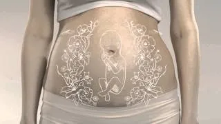 вагітність 22 тижнів