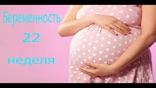 вагітність 22 тижнів