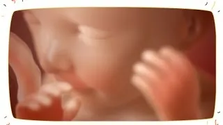 вагітність 22 тижнів