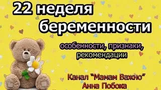 вагітність 22 тижнів