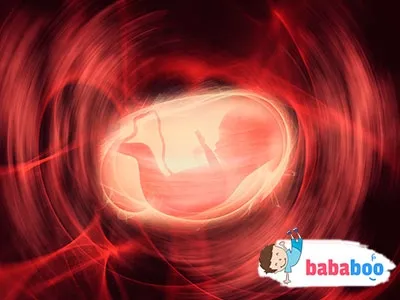 другий місяць вагітності