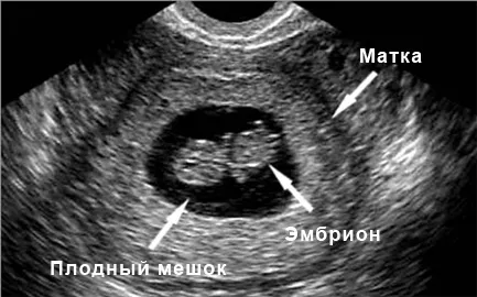 доктор