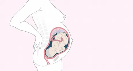 34 тиждень вагітності що їсти 34 тиждень вагітності що їсти